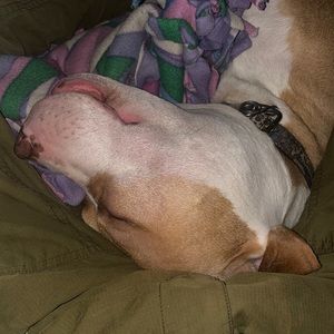 Meet your Posher, Rob